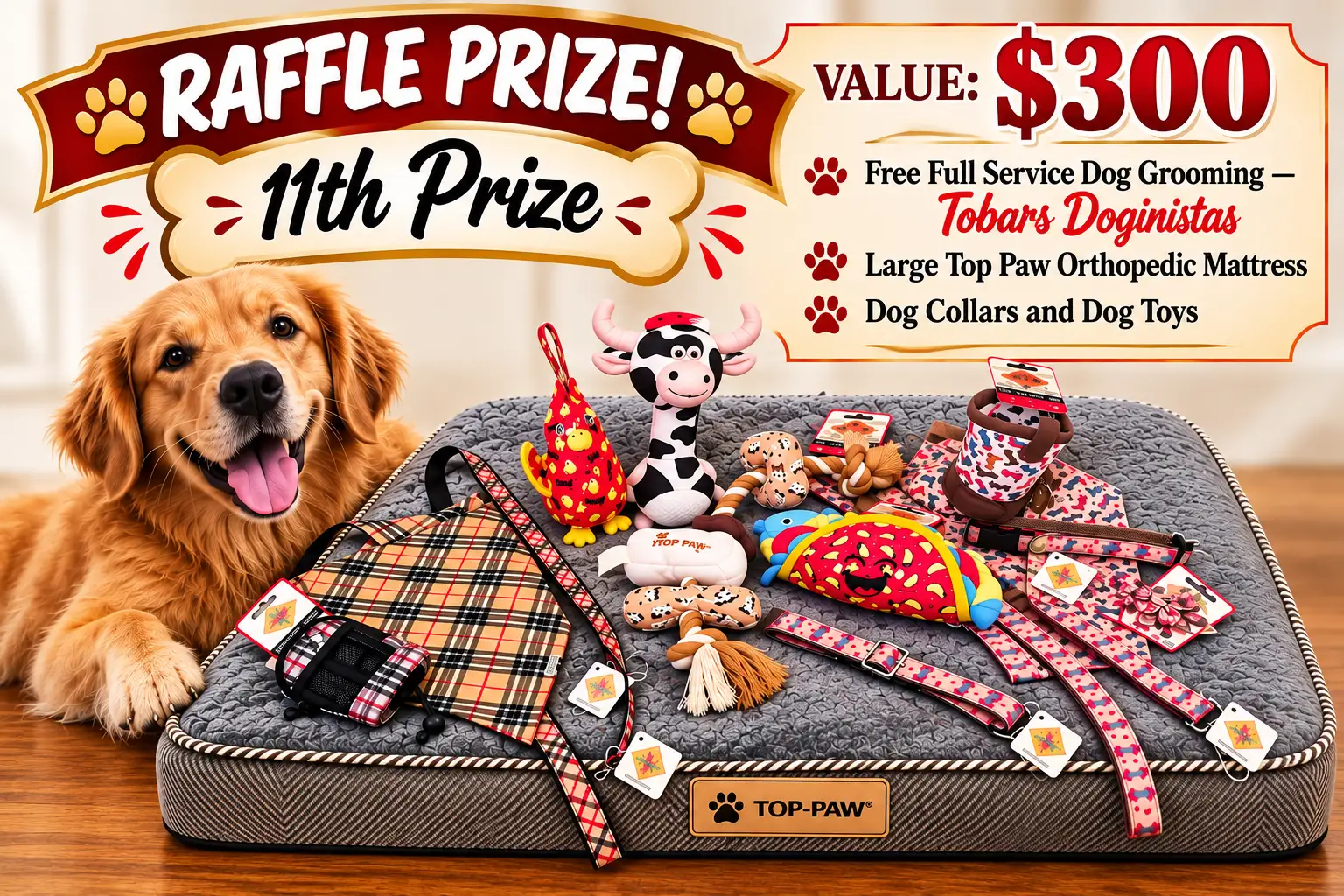 Prize #11